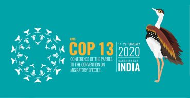 “Migratory species connect the planet and together we welcome them home” will be the theme of a major UN Wildlife Conference dedicated to migratory species in Gujarat, India