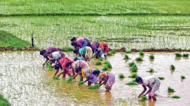 Farm Mechanisation for Doubling Farmers’ Income