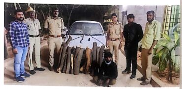 Sandalwood Smuggler Held In Bengaluru, Logs Worth Rs 3.4 Lakh Seized