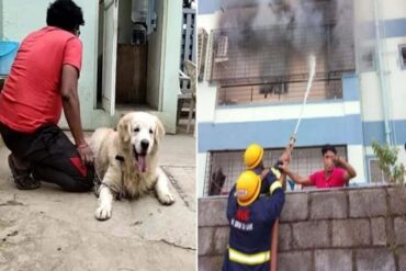Bengaluru Apartment fire: 2 flats damaged in Electronic City; residents unharmed  .