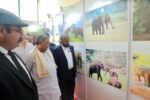 Inaugural Ceremony Of International Conference On Human Elephant Conflict