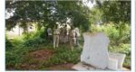 Burial ground turned into growing ganja saplings Yelahanka police arrested drug peddler and destroyed all Ganja saplings