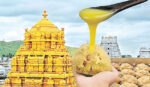 Adulterated Ghee: A kilo of ghee is bought at Rs.355.. and supplied to Titi at Rs.320