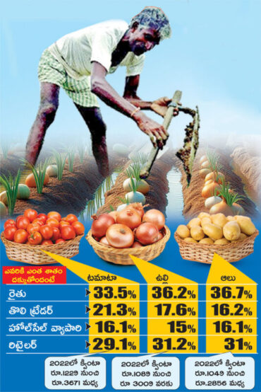 Vegetable Inflation Report: Even the prices… lie to the farmer!