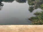 Two minors feared drowned in Kengeri Lake after they accidentally slipped into lake