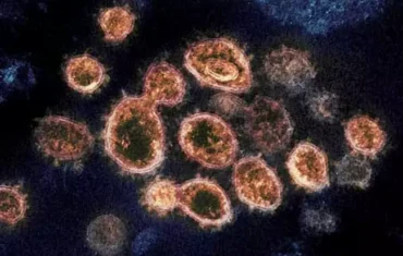 HMPV Virus: HMPV stir in China.. New viral symptoms, prevention like this..!